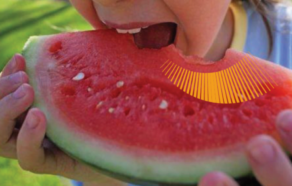 eatting watermelon