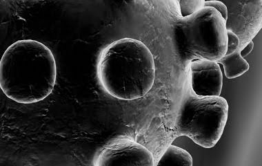 Attune hearing update: covid-19/ coronavirus Attune hearing update: covid-19/ coronavirus