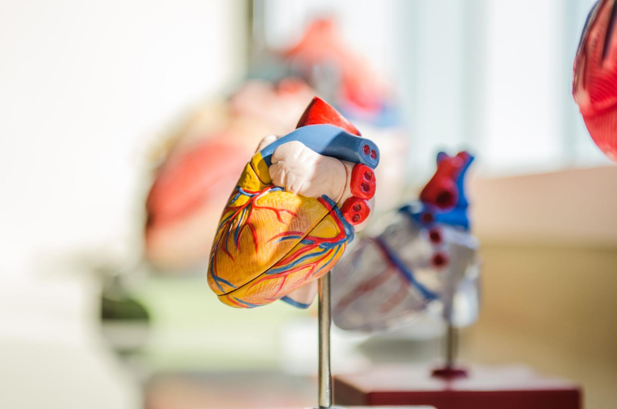 Are hearing loss and heart disease linked? Are hearing loss and heart disease linked?